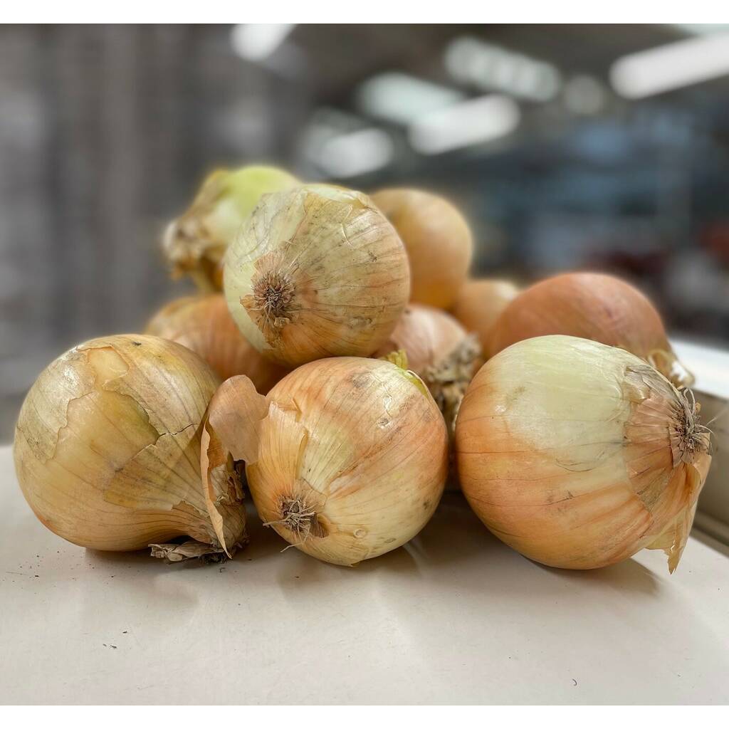 Small White Onions (2.5KG)
