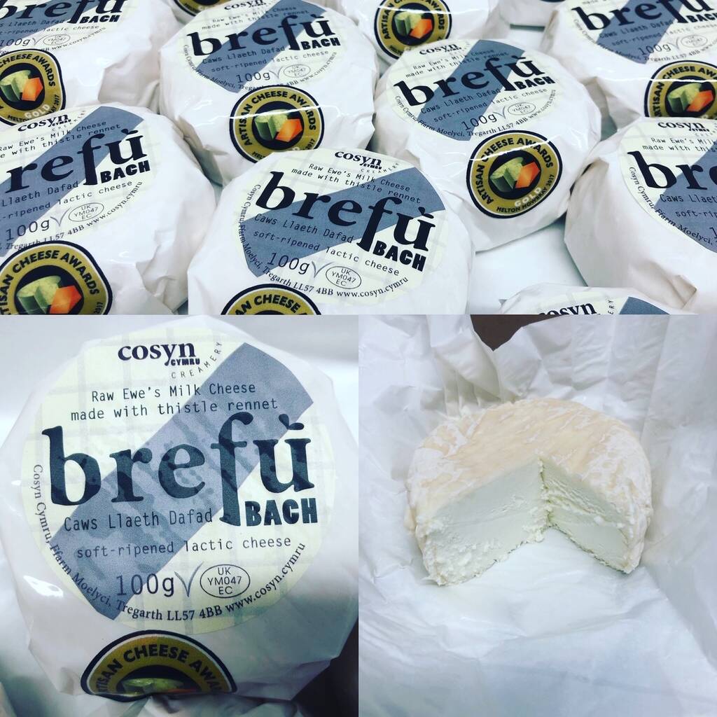 Cosyn Cymru Brefu Bach Cheese