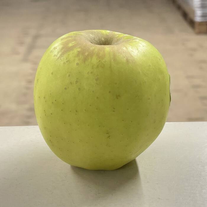 Golden Delicious Apple - large (each)