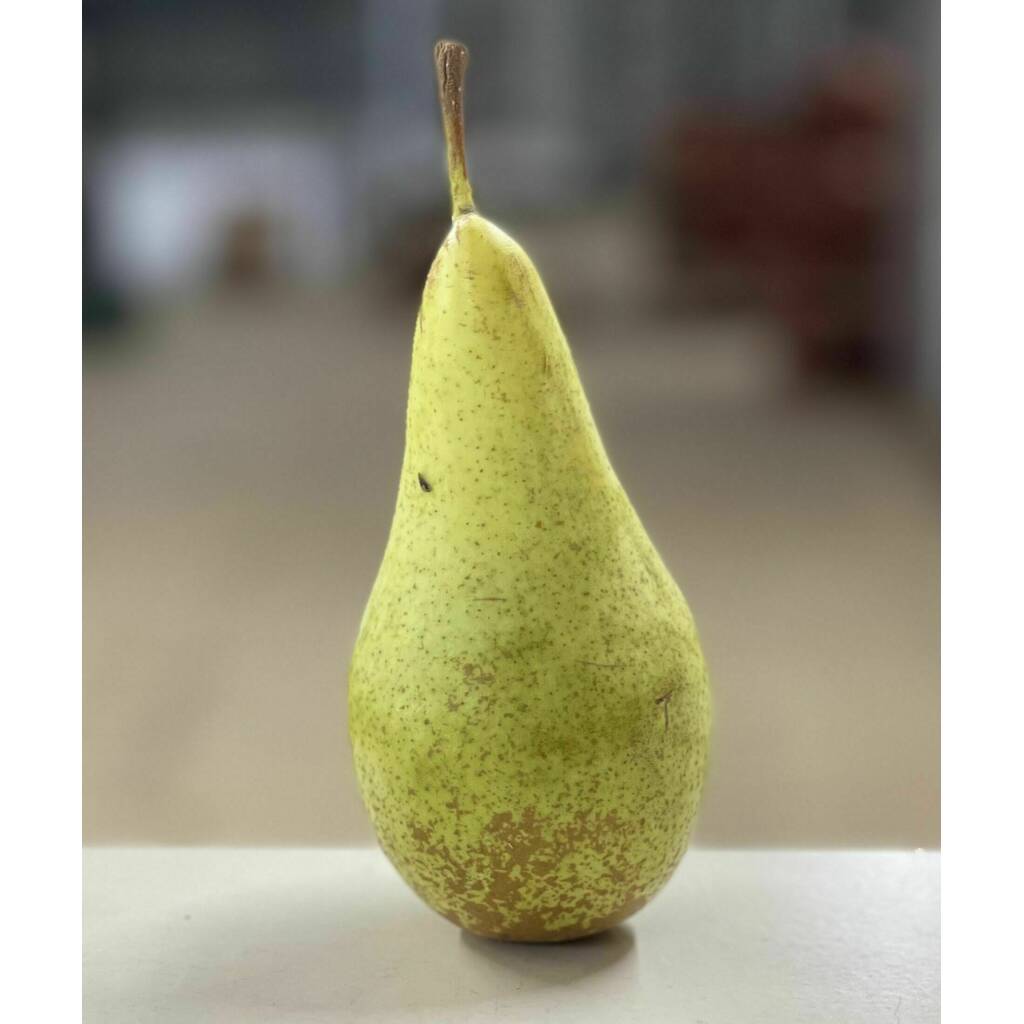 Conference Pear (each)