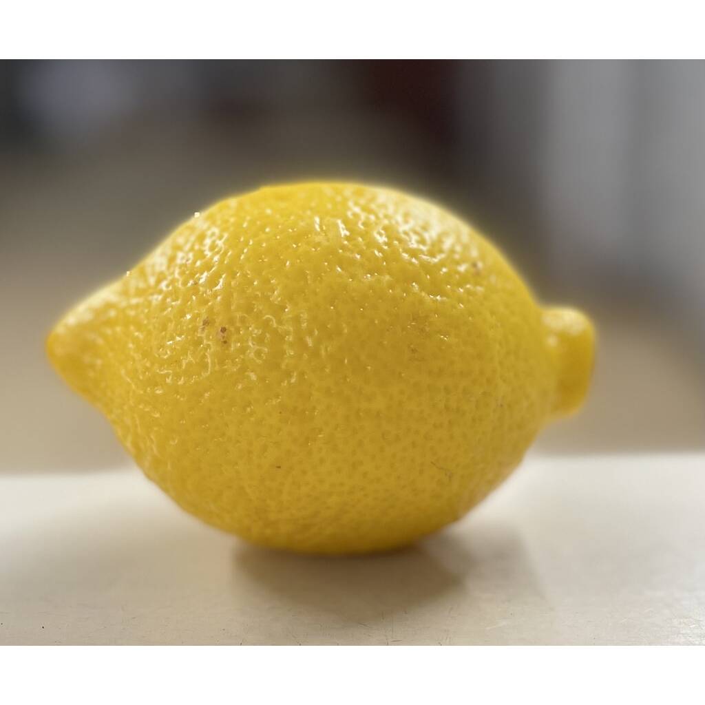 Organic Lemon *UNWAXED (each)