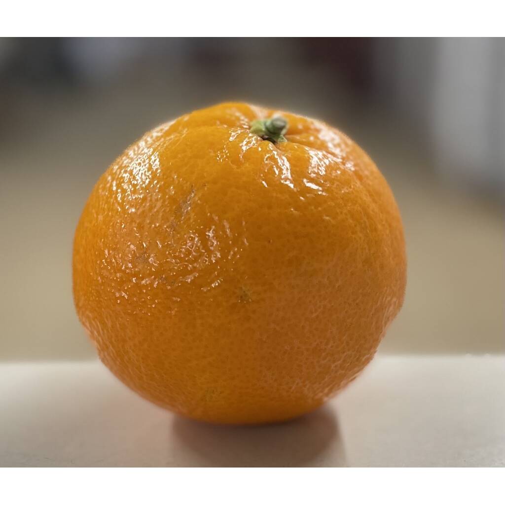 Small Orange