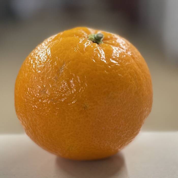 Small Orange (each)