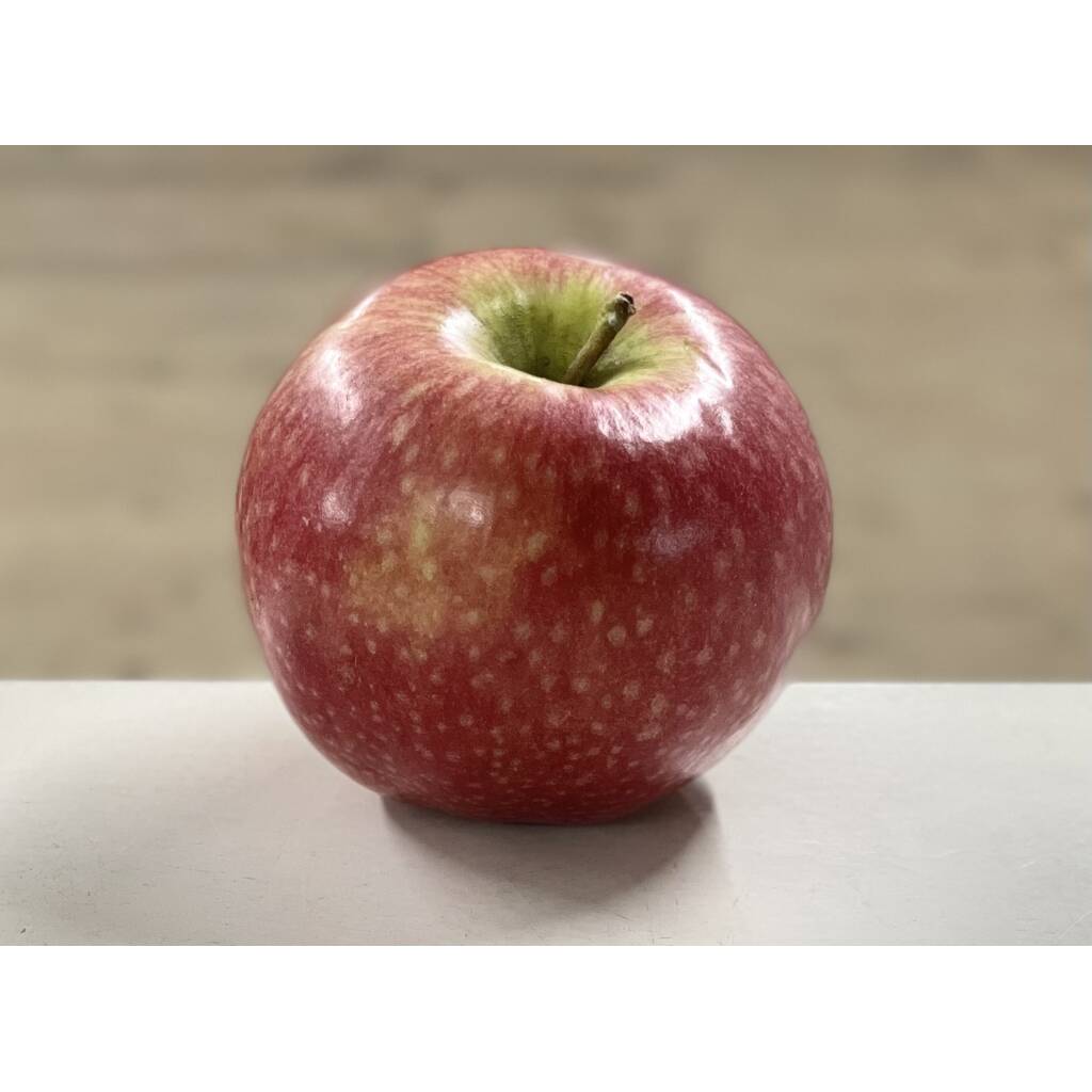 Pink Lady Apple - large (each)