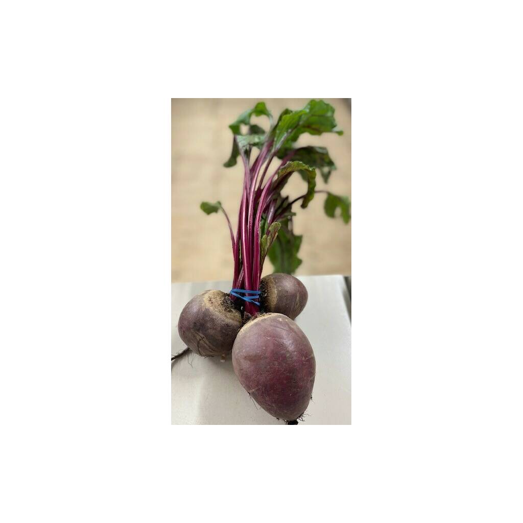 Beetroot - Bunch