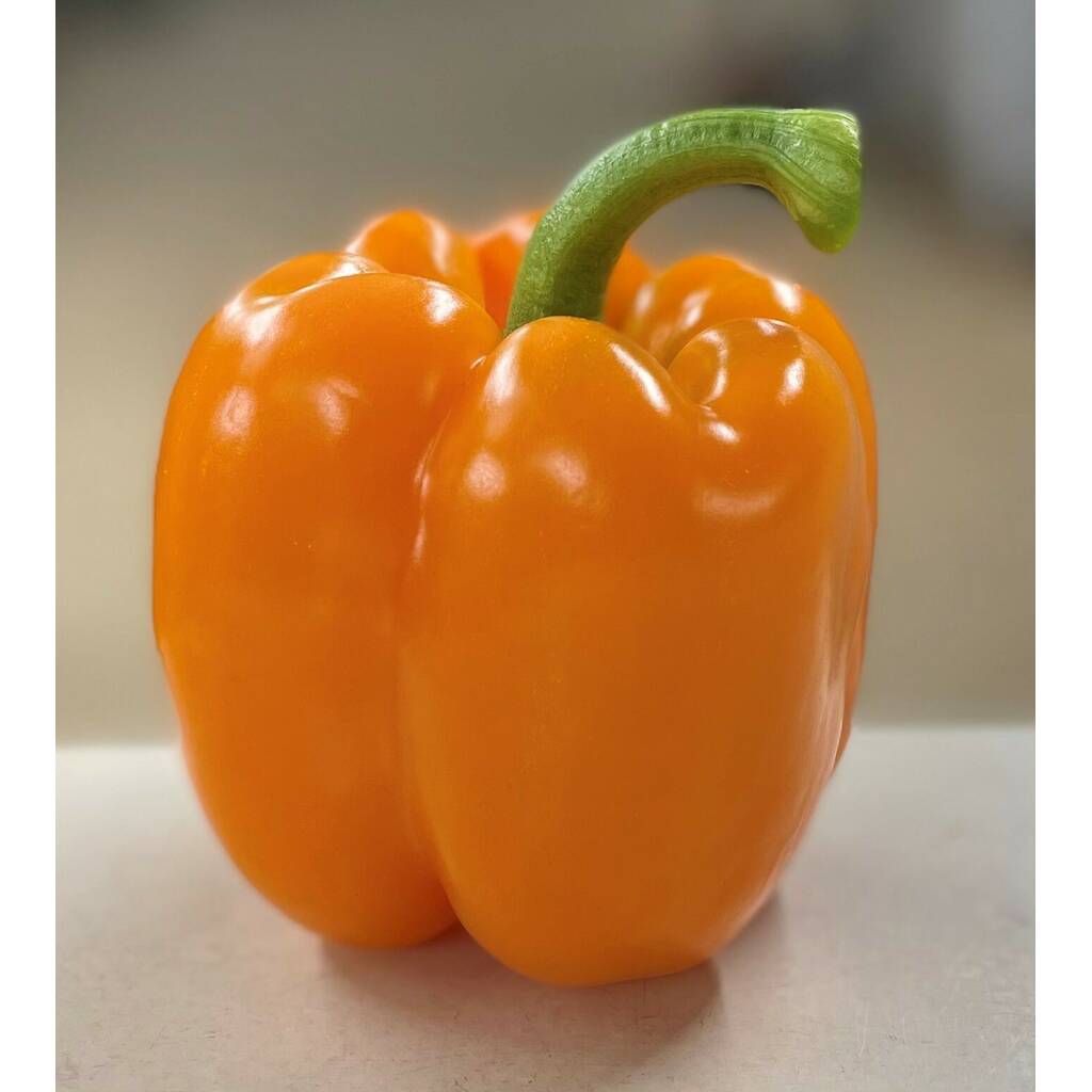 Orange Pepper (each)