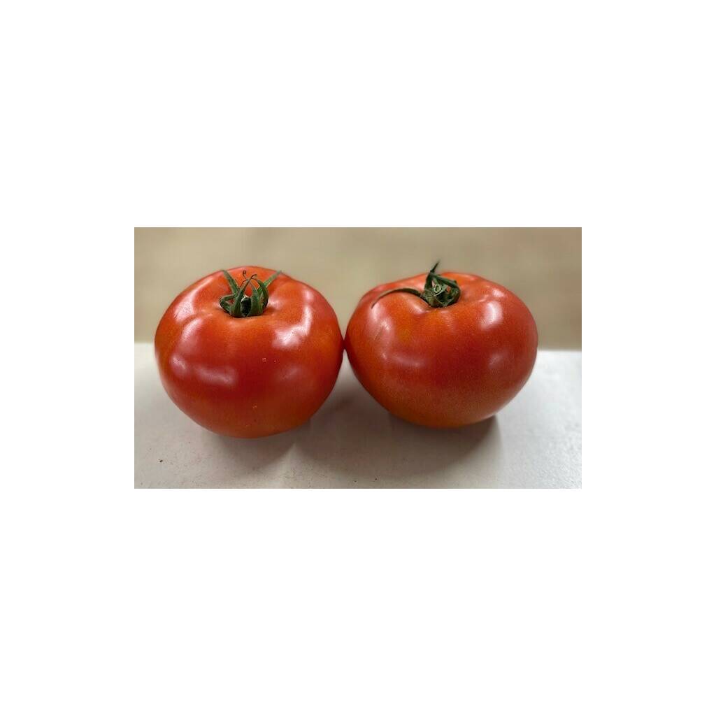 Beef Tomatoes (each)