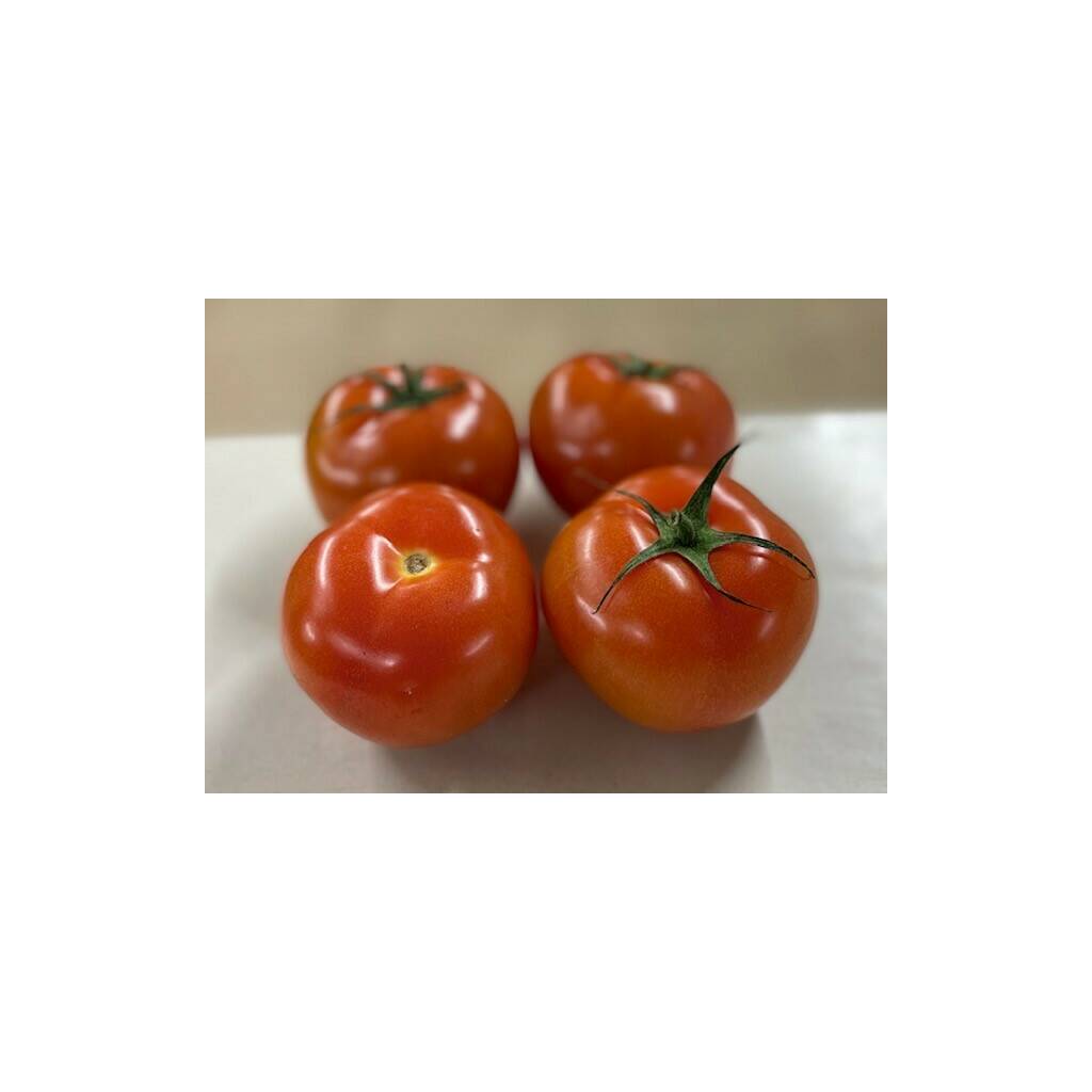 Tomatoes (each)