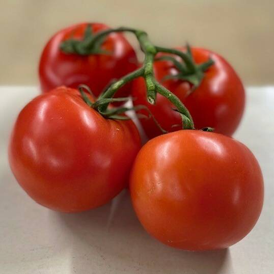 Vine Tomatoes (500g)