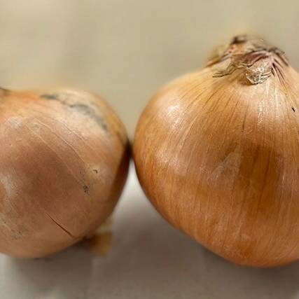 Small White Onions (500g)