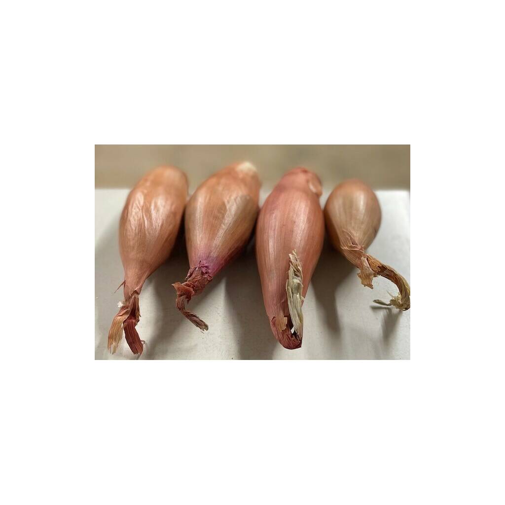 Banana Shallots - 500g