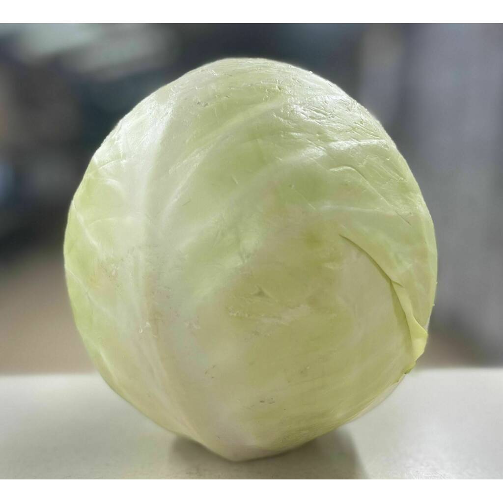 Drumhead/White Cabbage (1.1-1.5kg)