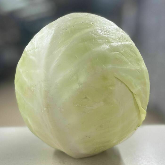 Drumhead/White Cabbage (1.1-1.5kg)