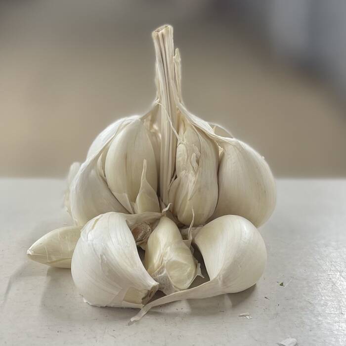 Garlic