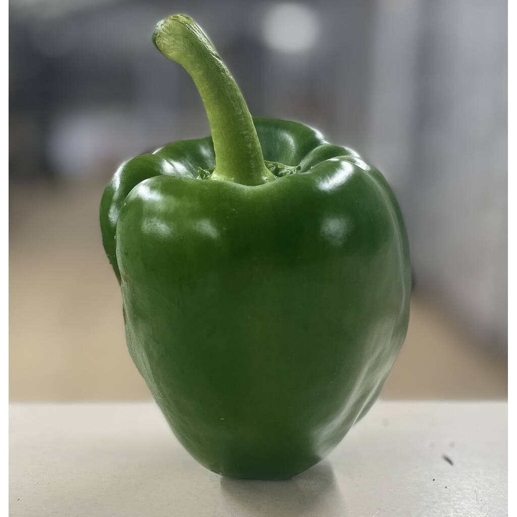 Green Pepper - Large (each)