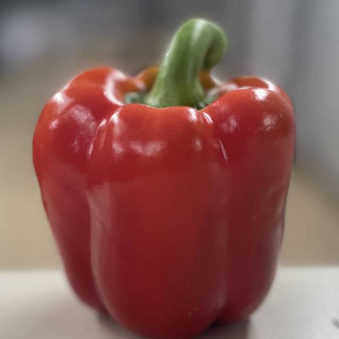 Red Pepper - Large (each)
