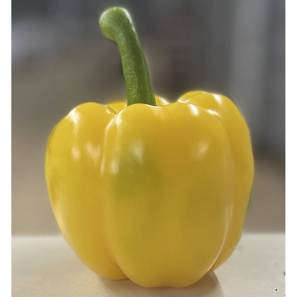 Yellow Pepper (large, each)