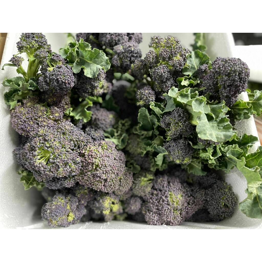 Purple Sprouting Broccoli - 500G