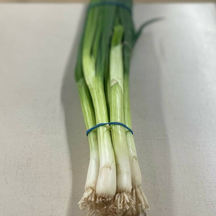 Spring Onions (bunch)