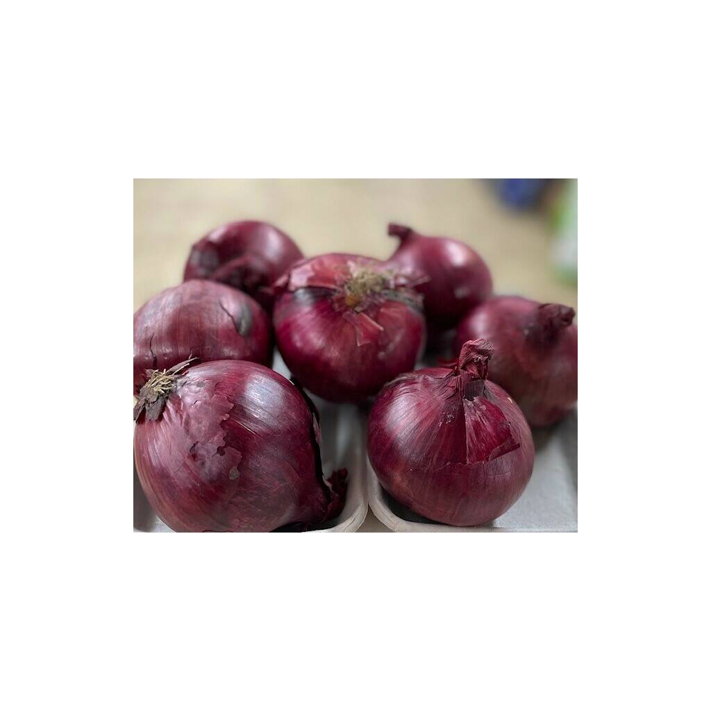 Red Onions (500G)