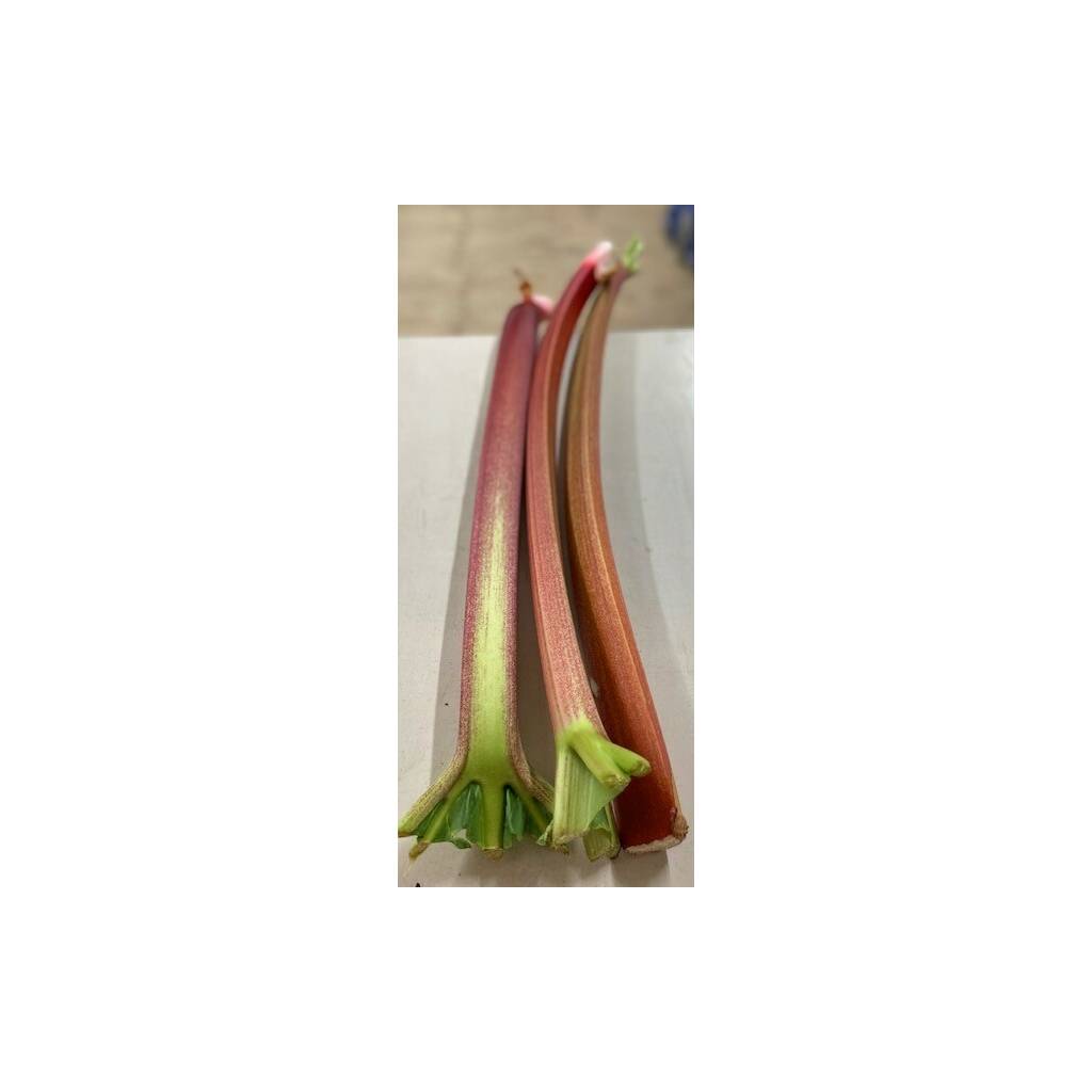 Rhubarb (500g) *LOCAL (HOOTONS HOMEGROWN ANGLESEY)