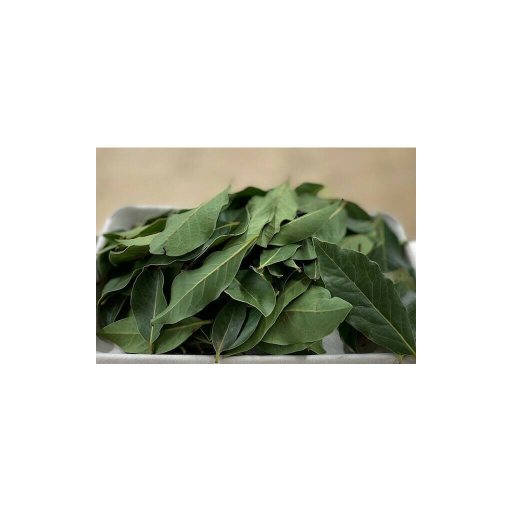 Fresh Herbs - Bay Leaf (30-40g)