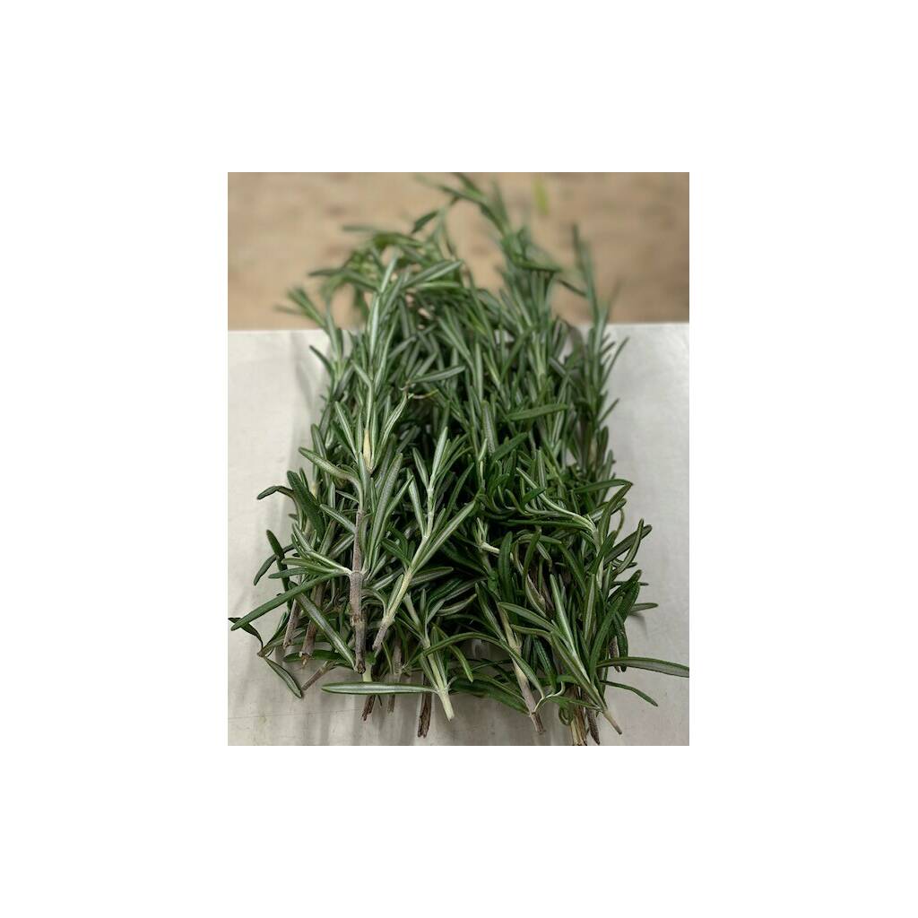 Fresh Rosemary - small bunch