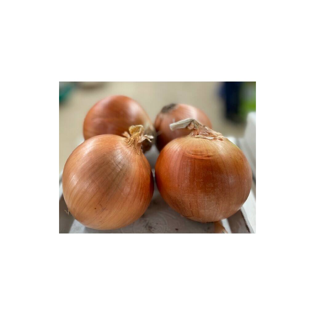 Large Onions (Spanish) (2kg)