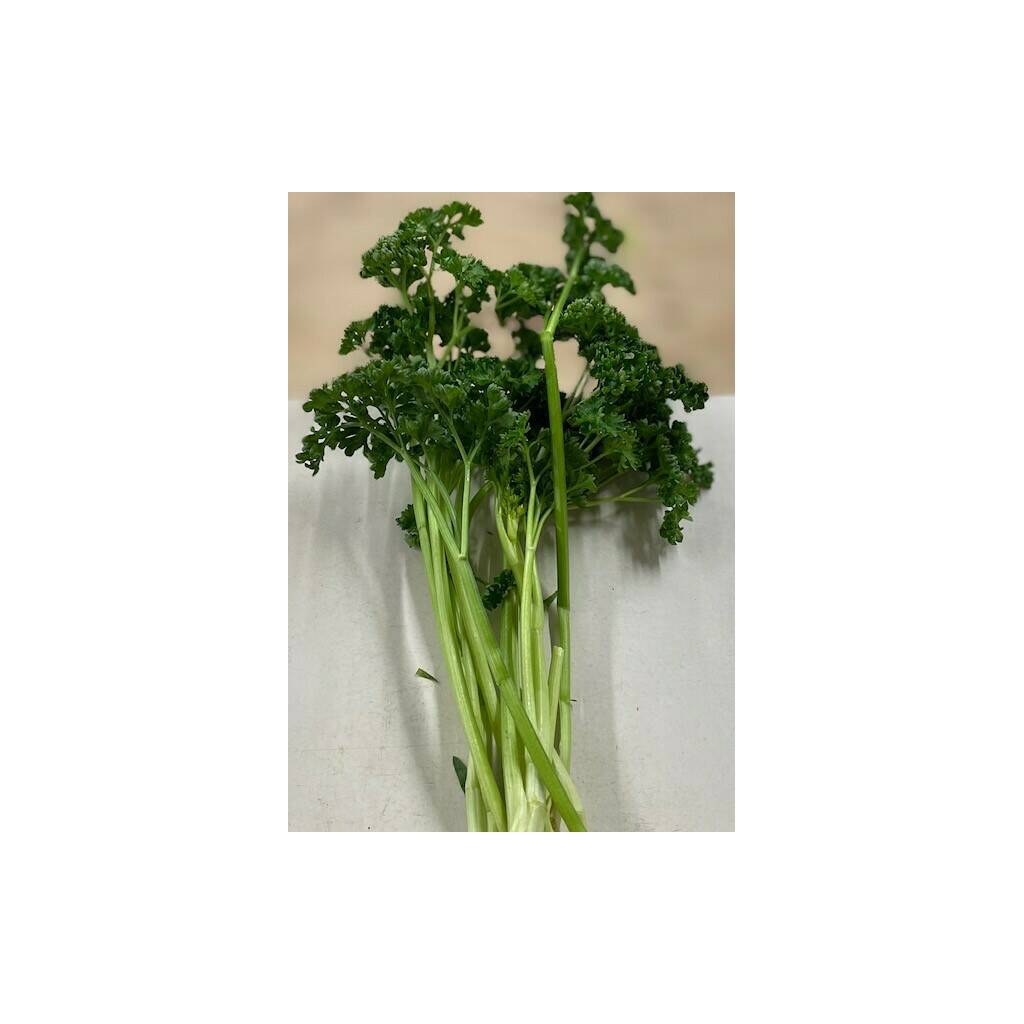 Fresh Herbs - Curly Parsley - Small Bunch