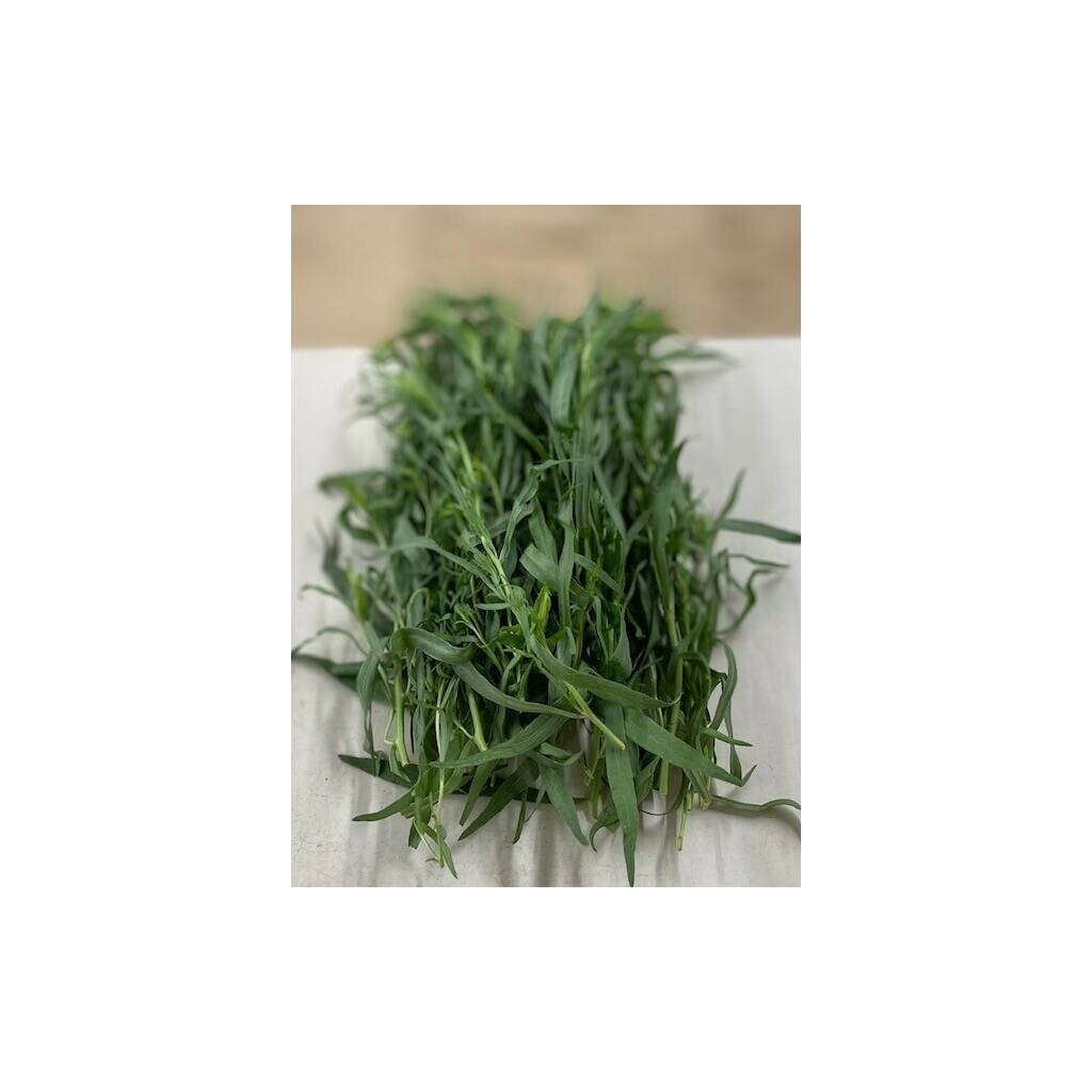 Fresh Tarragon - small bunch