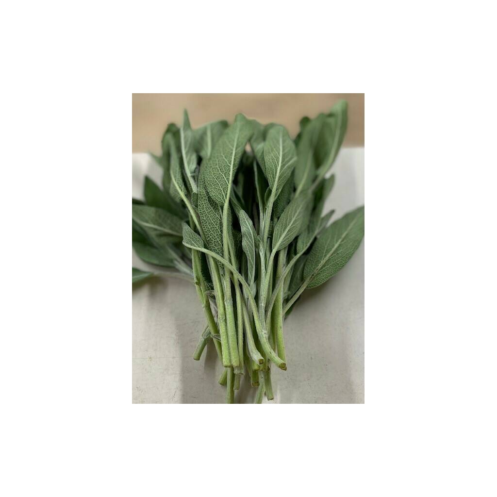 Fresh Herbs - Sage (30-40g)