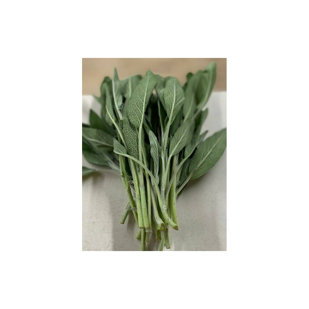 Fresh Sage - small bunch