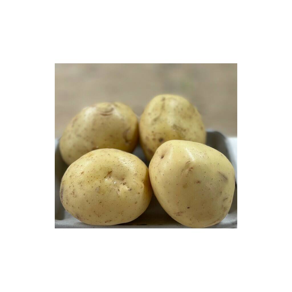 Baking Potatoes - pack of 4