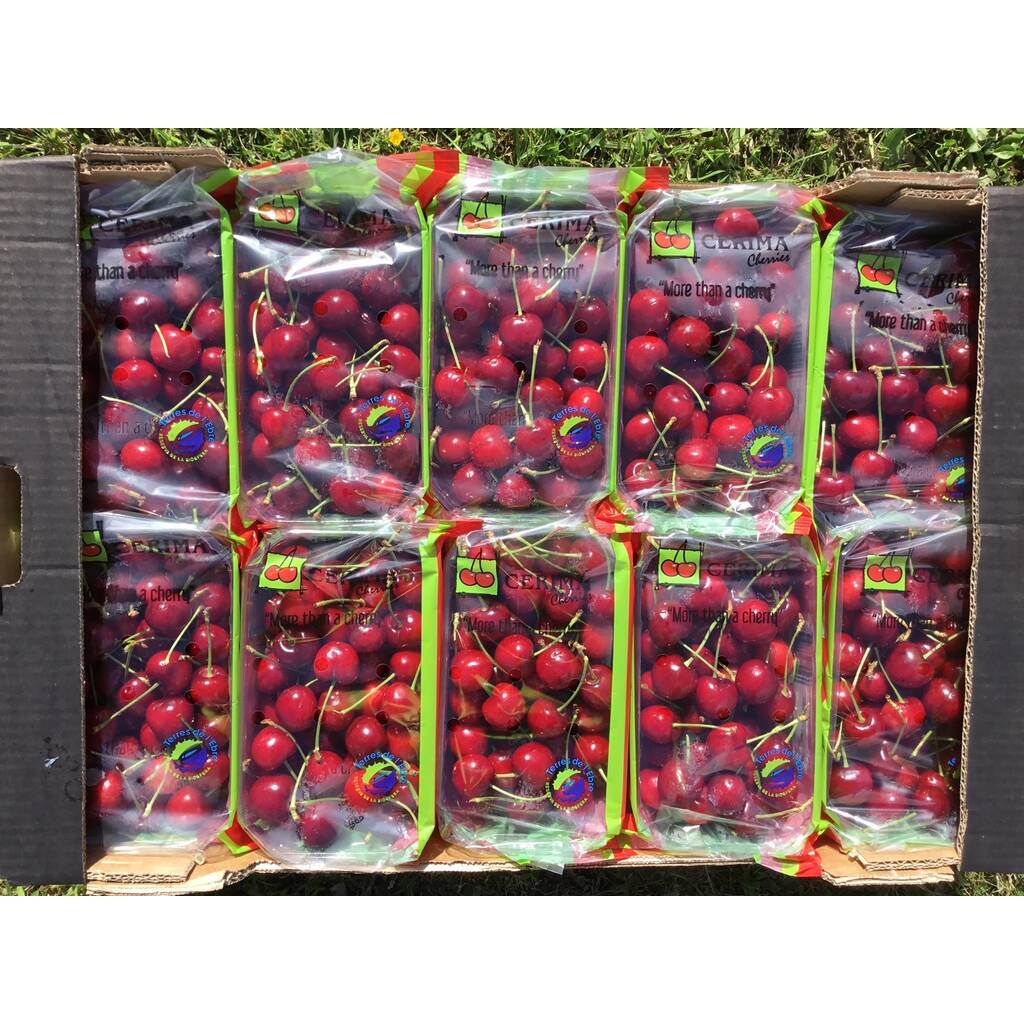 Cherries 500g Pack