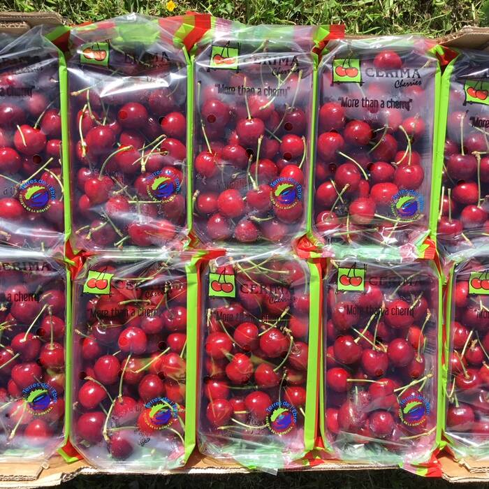 Cherries 250g *UK