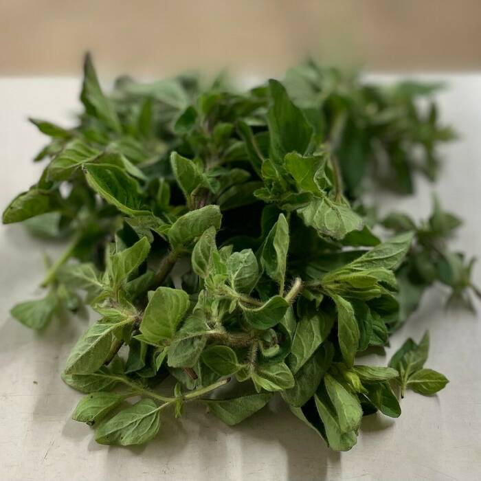 Fresh Herbs - Oregano (30-40g)
