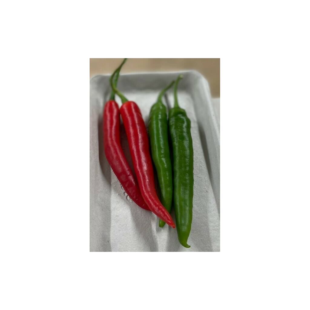 Chillies Mix Pack (Pack of 4)