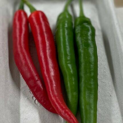 Chillies Mix Pack (Pack of 4)