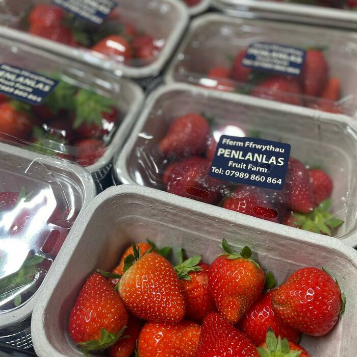 Local Penlanlas Strawberries
