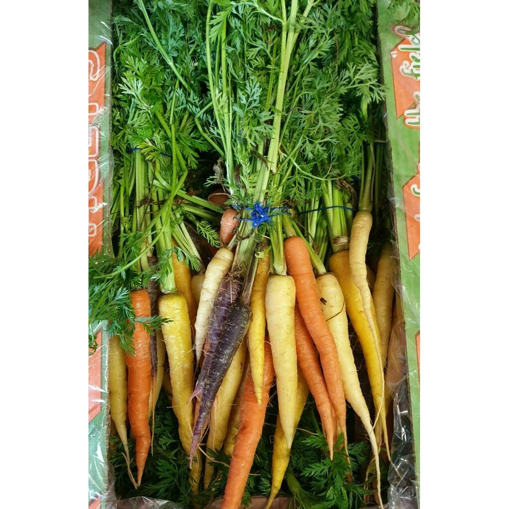 Carrot Bunches *Rainbow (Mix Colour) UK