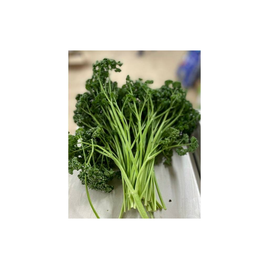 Fresh Herbs - Curly Parsley - Large Bunch